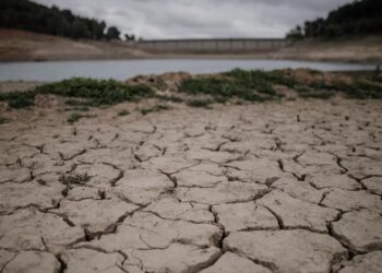 Día del Sobregiro de la Tierra: tiempos de acción