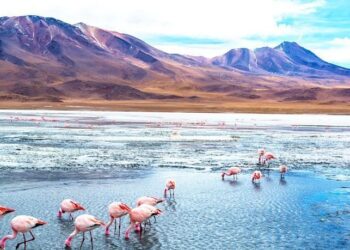 Complejos industriales de litio prevén un manejo sostenible de los recursos hídricos