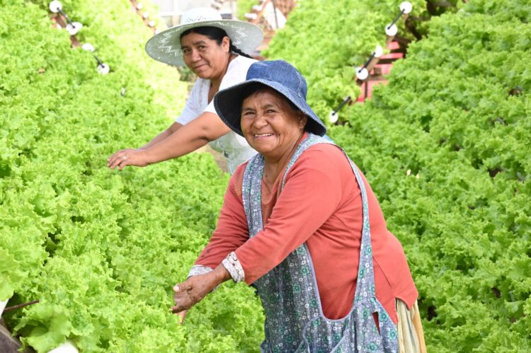 Itacamba es la empresa más responsable de su rubro, según el ranking Merco ESG