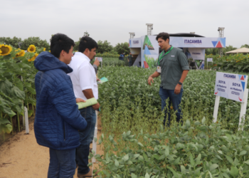 Itacamba presentó nuevas soluciones para el agro que fortalecen los suelos