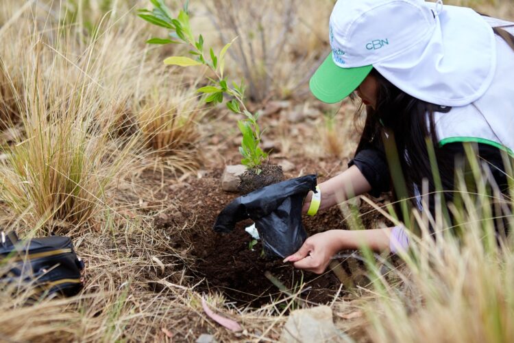 CBN construye prosperidad compartida con innovación, diversidad y protección al medio ambiente