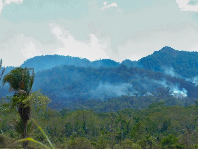 La solidaridad de los colaboradores de CBN llega a la comunidad del pueblo Tacana afectada por los incendios
