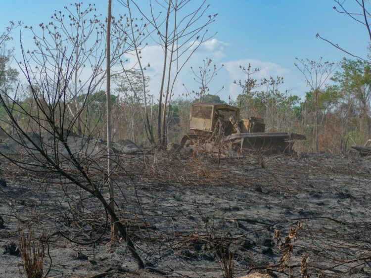 La solidaridad de los colaboradores de CBN llega a la comunidad del pueblo Tacana afectada por los incendios