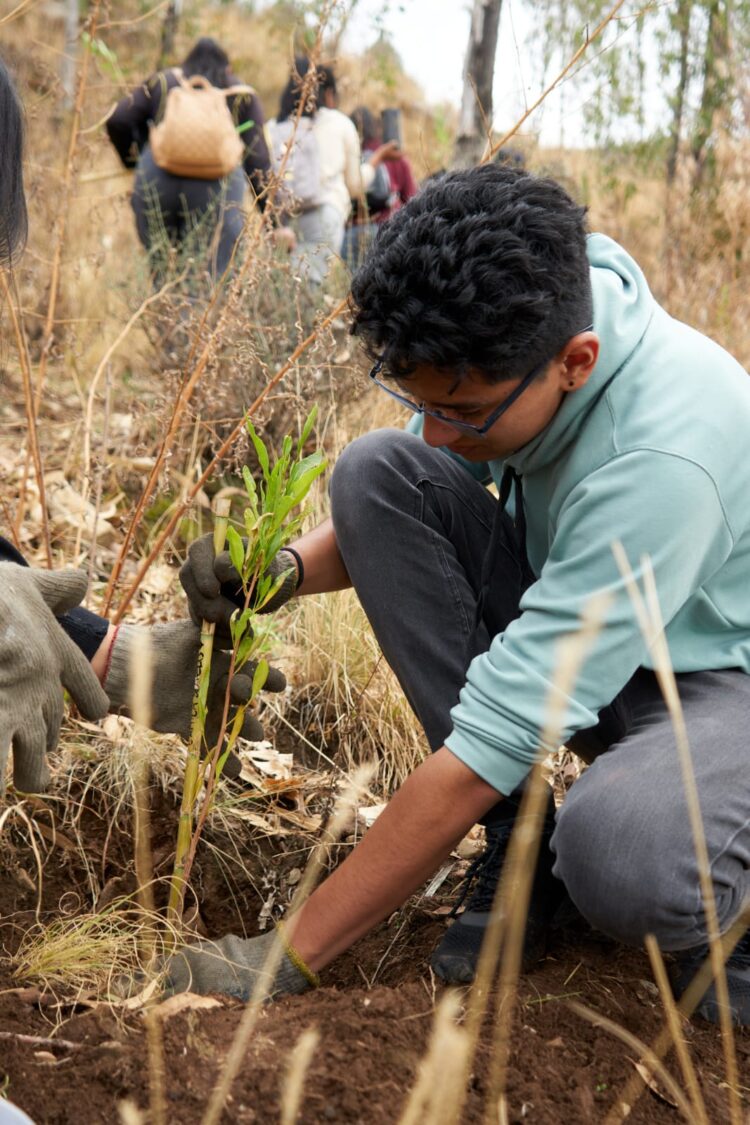CBN da continuidad al proyecto integral “Sembrando Vida” con la siembra de 195 árboles más en el Parque Nacional Tunari
