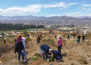 Éxito en Ecolimpieza y Forestación en la zona Chaqui Mayo del Parque Tunari