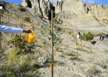 Banco BISA implementa el “Pulmón Achuma” en La Paz y suma más de 9.000 árboles en el país