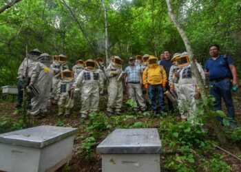 El BDP en alianza con la Fundación Natura fortalecen la cadena apícola en el Chaco boliviano