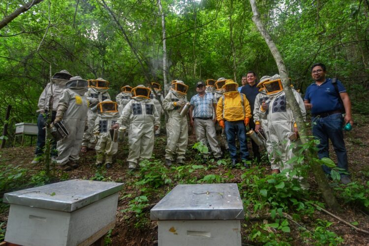 El BDP en alianza con la Fundación Natura fortalecen la cadena apícola en el Chaco boliviano