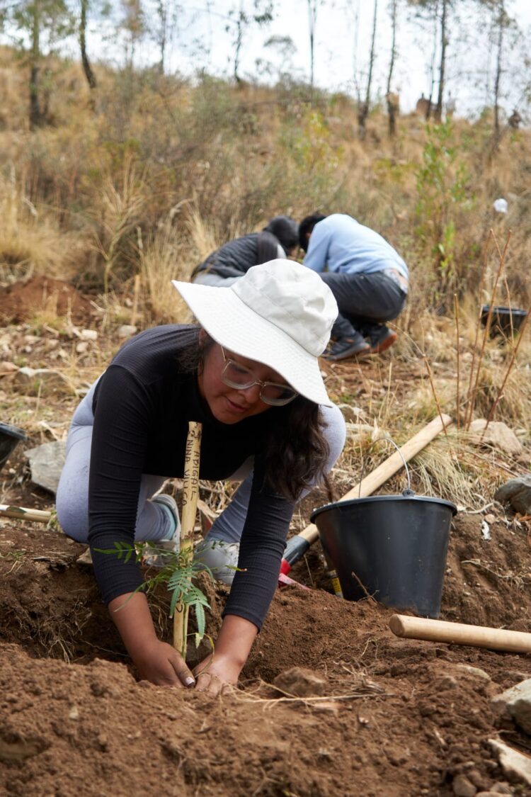 CBN da continuidad al proyecto integral “Sembrando Vida” con la  siembra de 195 árboles más en el Parque Nacional Tunari