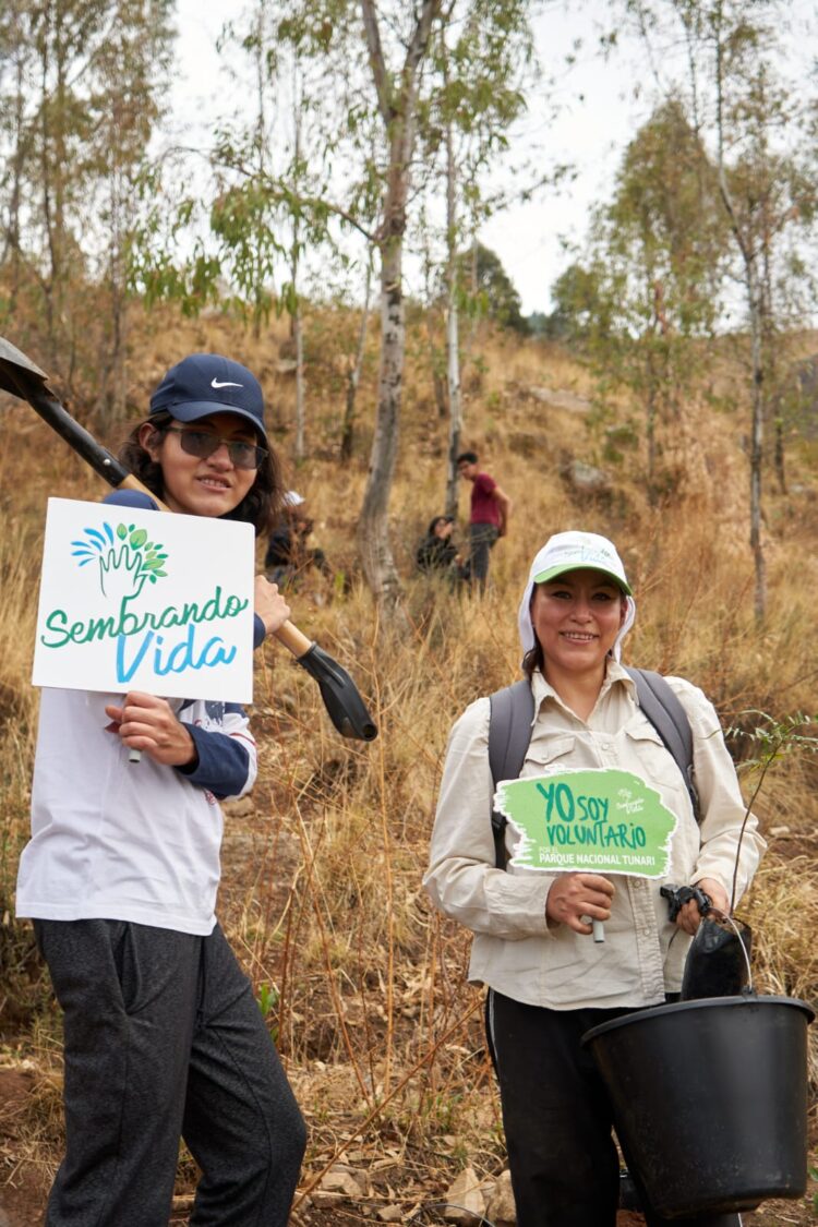 CBN da continuidad al proyecto integral “Sembrando Vida” con la  siembra de 195 árboles más en el Parque Nacional Tunari