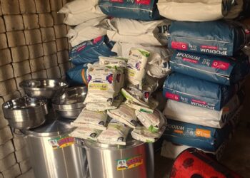 Trabajadores de Banco BISA recaudaron más de cinco toneladas de ayuda para albergues de animales.