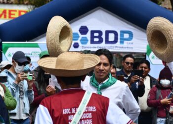 El BDP transforma la vida de productores de la Amazonía boliviana con créditos y Asistencia Técnica