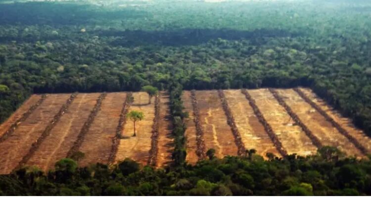 El Parlamento Europeo aprueba la ley de restauración de la naturaleza y apuntala entre reproches un pilar del Pacto Verde