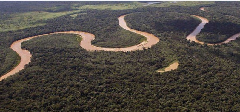 Comunidad del Agua plantea y exige 10 medidas urgentes contra empresas, propietarios y mineros que impacten contra el agua y los bosques