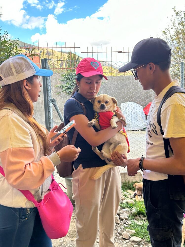 Banco Bisa apoya a la Fundación “Fénix” para el cuidado de los peluditos del albergue.