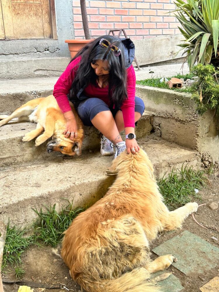 Banco Bisa apoya a la Fundación “Fénix” para el cuidado de los peluditos del albergue.