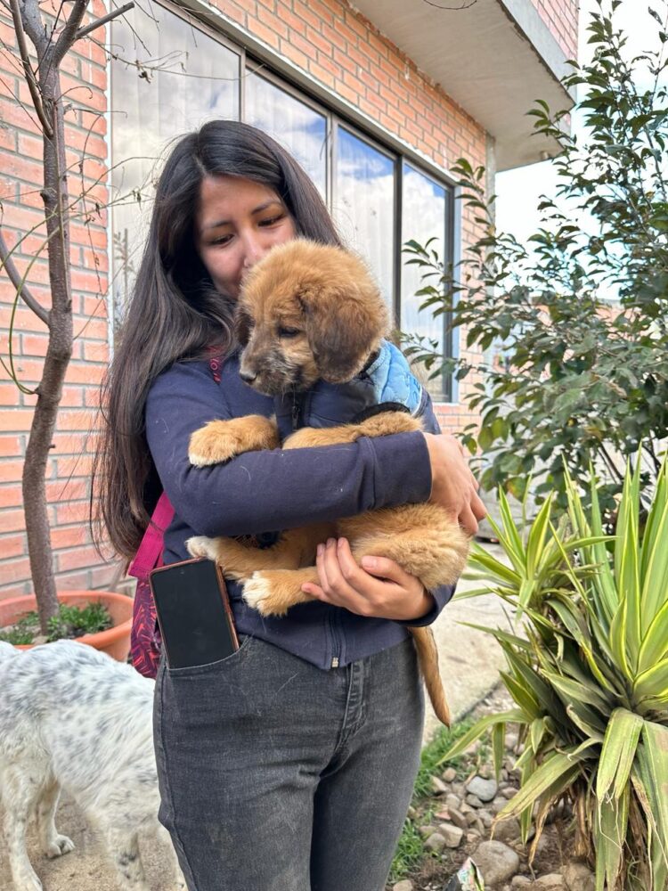 Banco Bisa apoya a la Fundación “Fénix” para el cuidado de los peluditos del albergue.