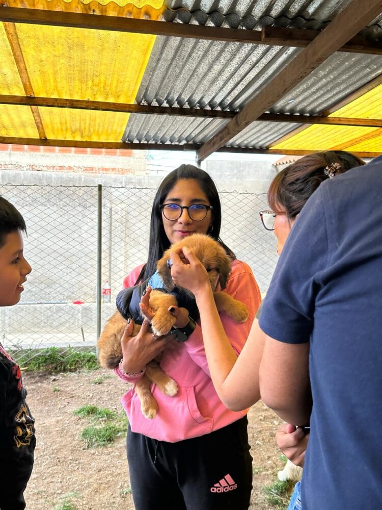 Banco Bisa apoya a la Fundación “Fénix” para el cuidado de los peluditos del albergue.