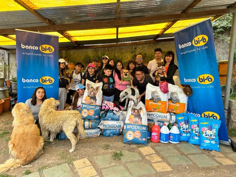 Banco Bisa apoya a la Fundación “Fénix” para el cuidado de los peluditos del albergue.