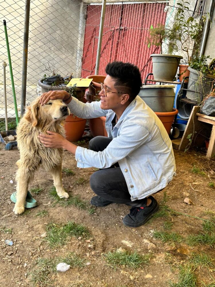 Banco Bisa apoya a la Fundación “Fénix” para el cuidado de los peluditos del albergue.