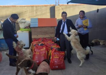 “Alma PRO Patitas” y “Animal Rights” fueron los albergues beneficiados por la campaña “Por Peluditos de la calle” de Banco BISA.