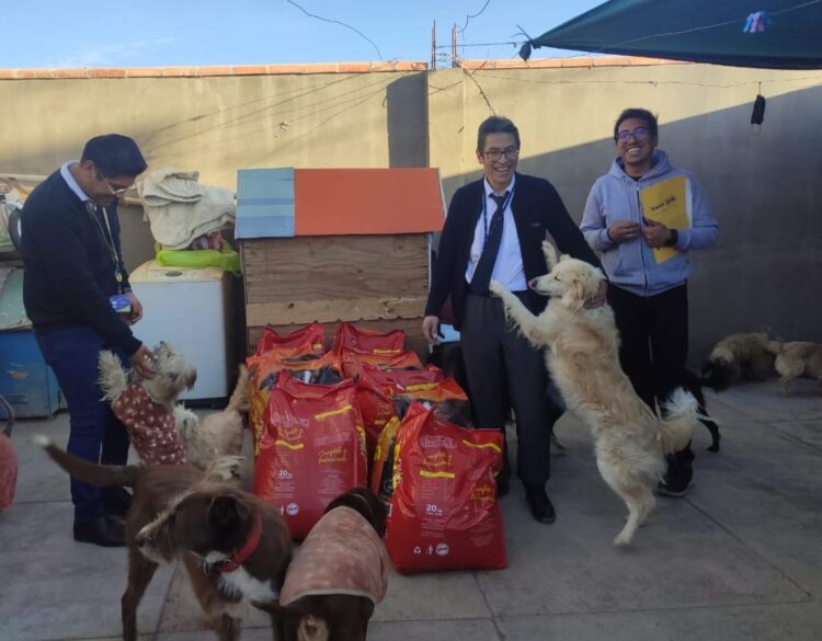 “Alma PRO Patitas” y “Animal Rights” fueron los albergues beneficiados por la campaña “Por Peluditos de la calle” de Banco BISA.