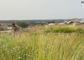 España: Cubrir de vegetación los colegios para bajar la temperatura en las aulas