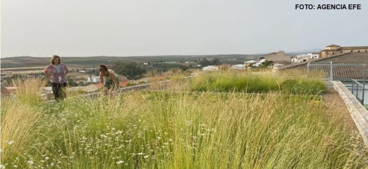 España: Cubrir de vegetación los colegios para bajar la temperatura en las aulas