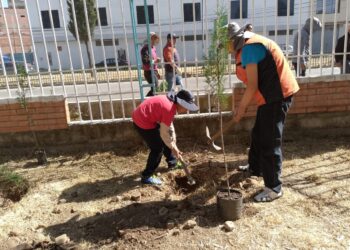 Campañas de Ecolimpieza y Forestación remozan el Mirador Virgen Blanca de El Alto