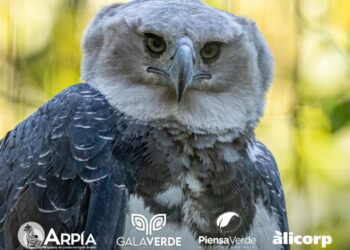 Alicorp participó en la Gala Verde 2024 impulsando iniciativas que promueven el cuidado del medioambiente