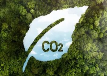 El 75% de las compañías europeas deberá medir su huella de carbono a partir de enero de 2025