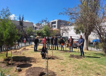En su mes aniversario, La Paz se embellece con las campañas de Ecolimpieza y Forestación de Banco Ecofuturo