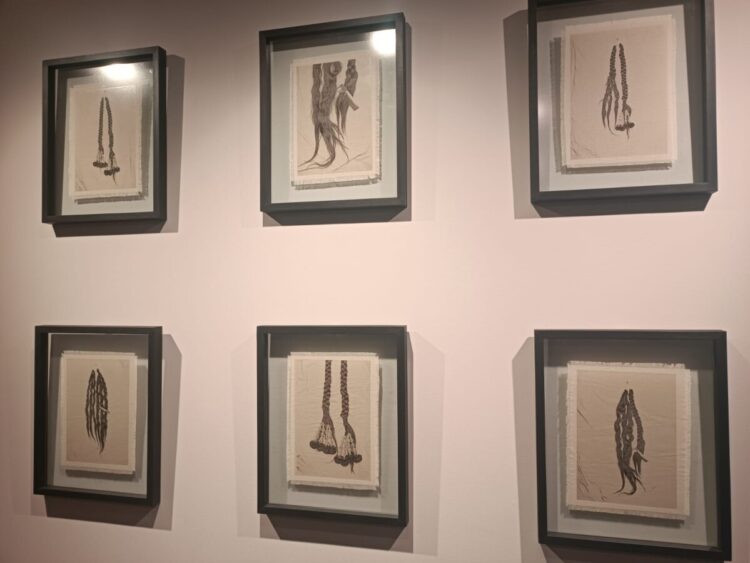 BNB ART presenta «5x Miradas»