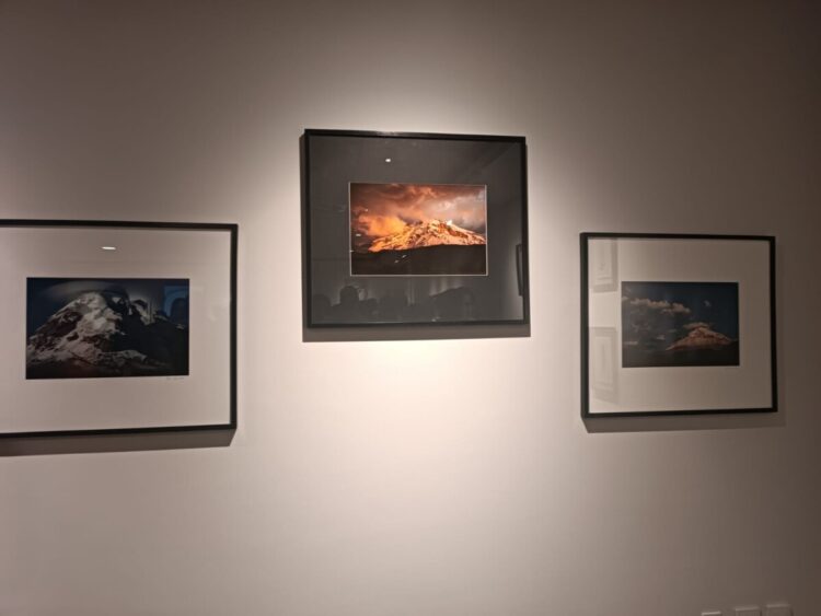 BNB ART presenta «5x Miradas»