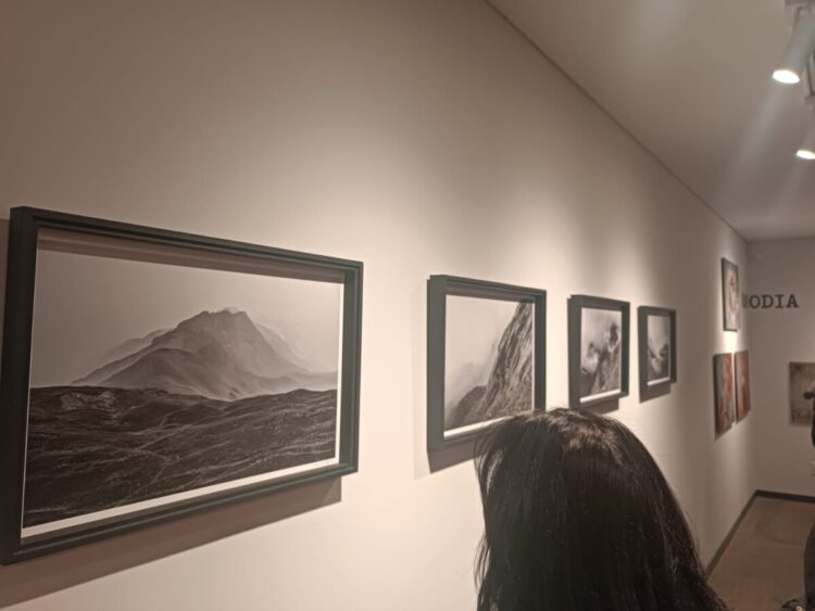 BNB ART presenta «5x Miradas»