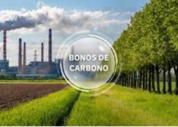 El TCP legaliza negocio de los bonos de carbono