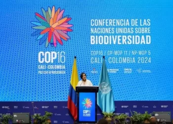 COP16:  Un llamado a la descarbonización para enfrentar la crisis climática