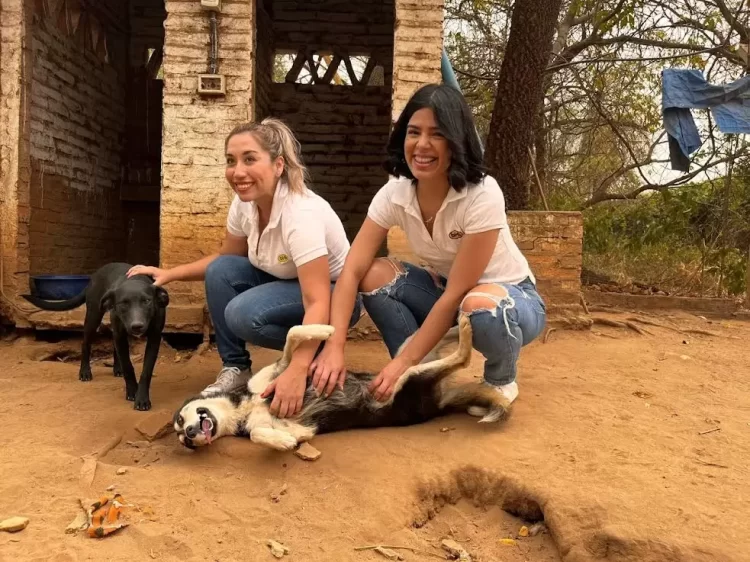 La campaña “Por los Peluditos de la Calle” de Banco BISA benefició a Santa Cruz