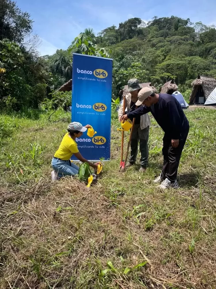 Programa de forestación “Pulmones Banco BISA” llega hasta la Amazonía