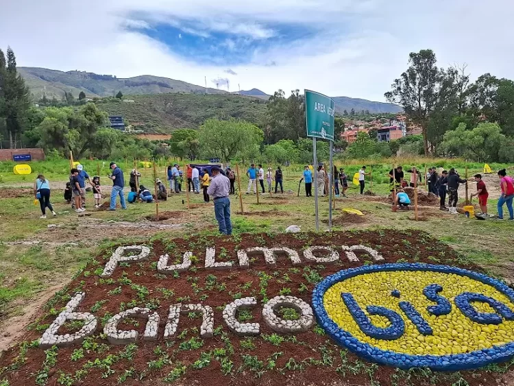 Programa de forestación “Pulmones Banco BISA” llega hasta la Amazonía