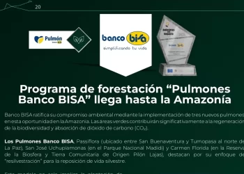 Programa de forestación “Pulmones Banco BISA” llega hasta la Amazonía