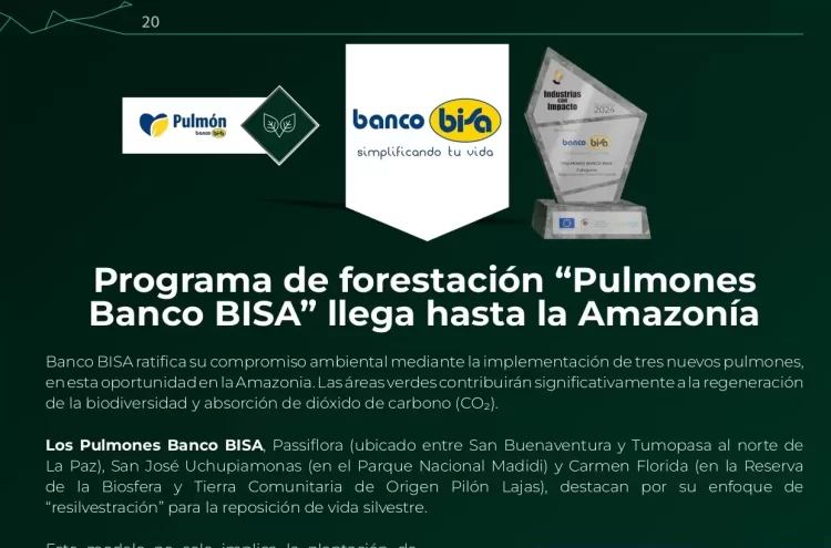 Programa de forestación “Pulmones Banco BISA” llega hasta la Amazonía