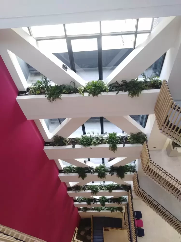 Banco FIE implementa el primer “Edificio Sostenible” de la Banca en Bolivia