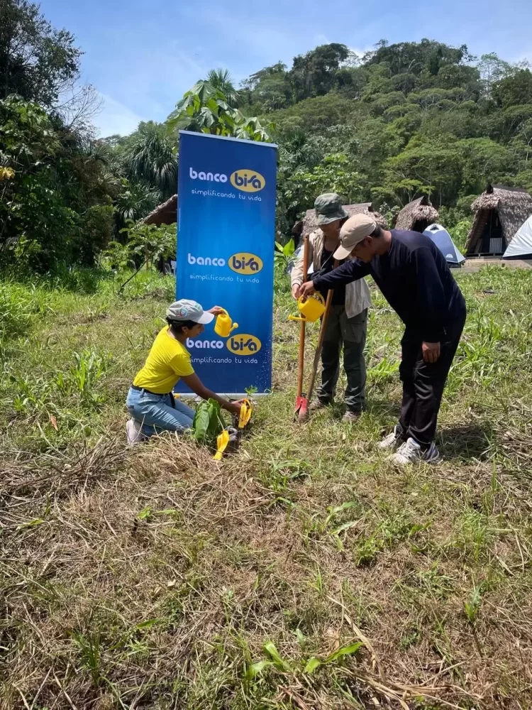 Pulmones Banco BISA llegan a la Amazonía