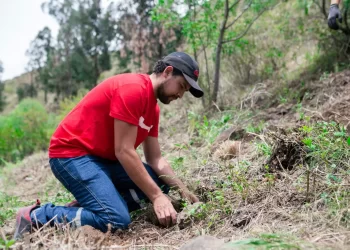 La planta productiva de EMBOL Cochabamba transforma lodo residual en abono orgánico para Reforestación