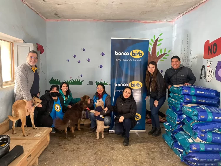 La campaña interna “Por los peluditos de la calle” llegó a toda Bolivia