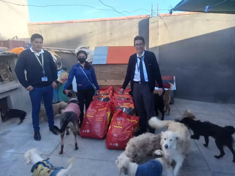 La campaña interna “Por los peluditos de la calle” llegó a toda Bolivia
