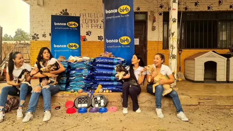 La campaña interna “Por los peluditos de la calle” llegó a toda Bolivia