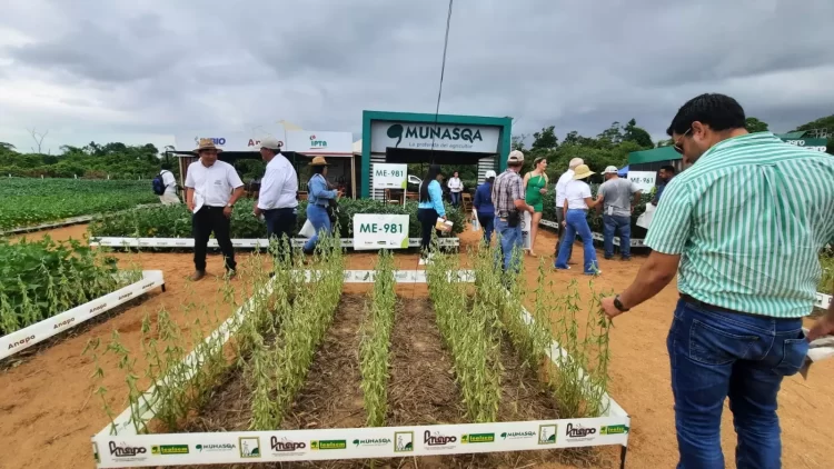 Exposoya reafirma la innovación en prácticas agrícolas sostenibles para aumentar la producción de alimentos