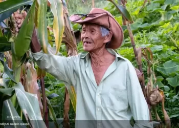 Mandiyuti, donde el agua vuelve a nacer